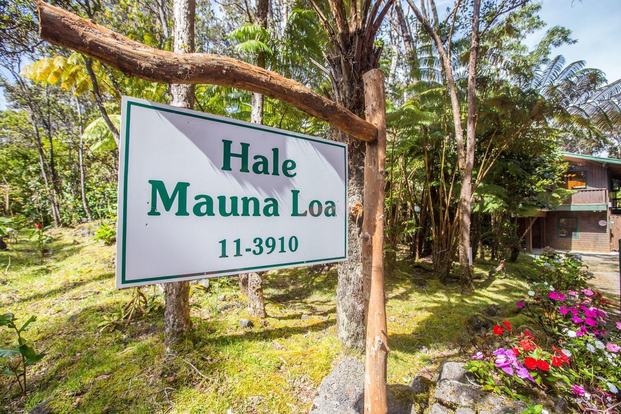 Hale Mauna Loa Upper Level With Shared Hot Tub 볼케이노 외부 사진