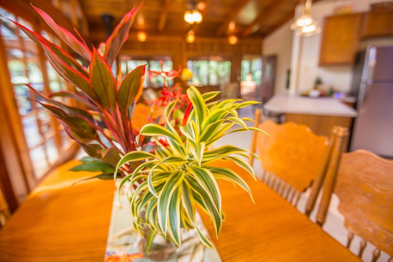 Hale Mauna Loa Upper Level With Shared Hot Tub 볼케이노 외부 사진