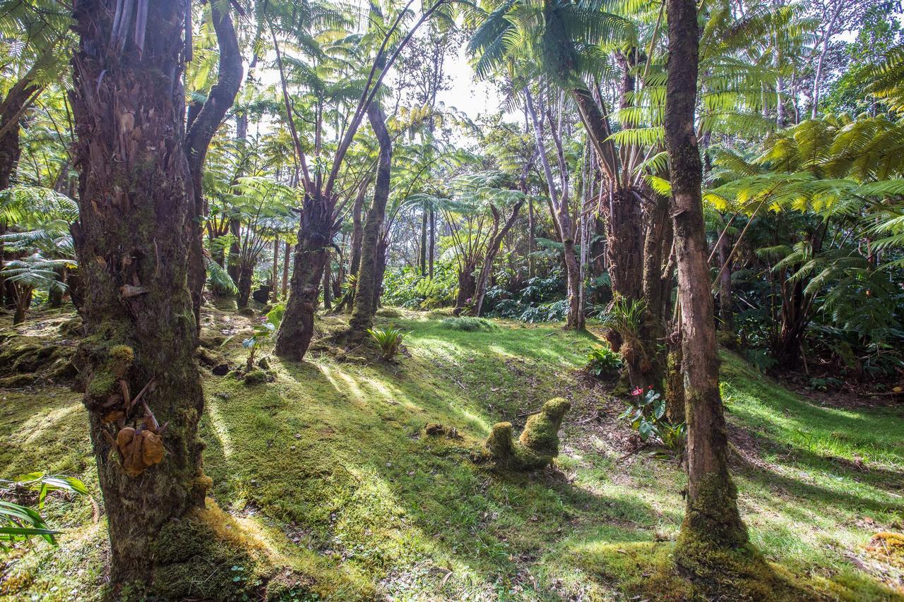 Hale Mauna Loa Upper Level With Shared Hot Tub 볼케이노 외부 사진